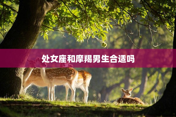 處女座和摩羯男生合適嗎