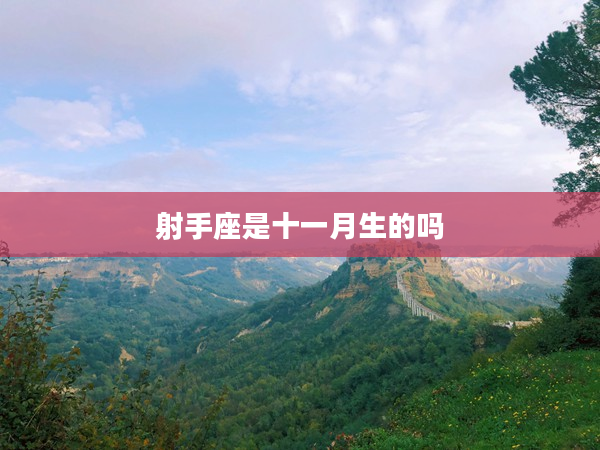 射手座是十一月生的嗎