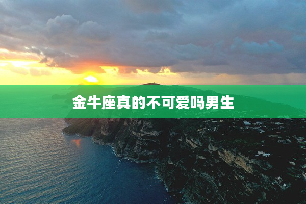 金牛座真的不可愛嗎男生