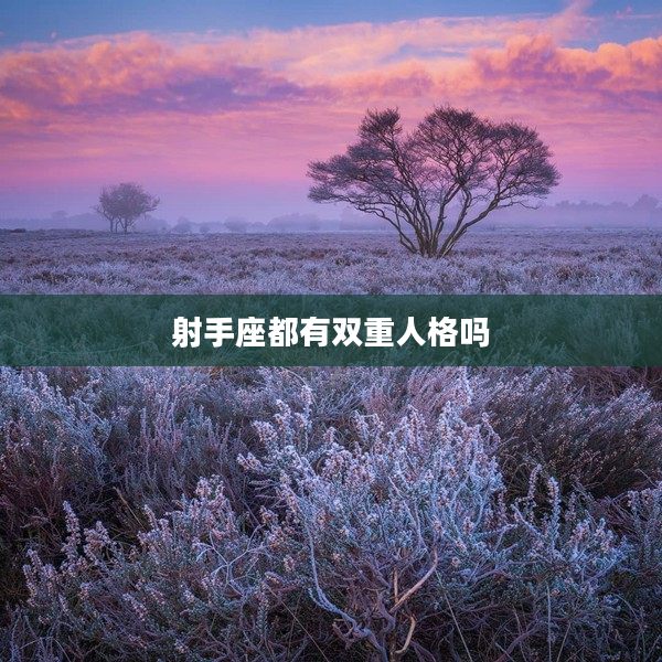 射手座都有雙重人格嗎