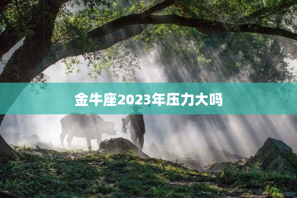 金牛座2023年壓力大嗎
