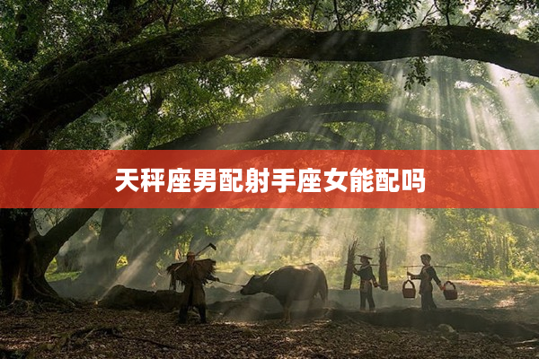 天秤座男配射手座女能配嗎