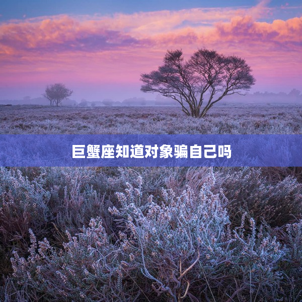 巨蟹座知道對象騙自己嗎