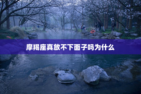 摩羯座真放不下面子嗎為什么