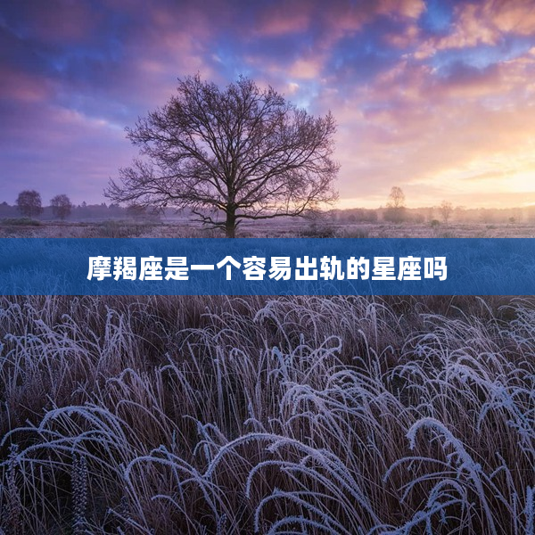 摩羯座是一個容易出軌的星座嗎