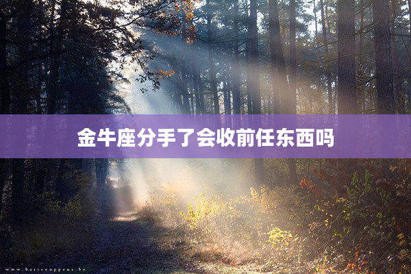 金牛座分手了會收前任東西嗎