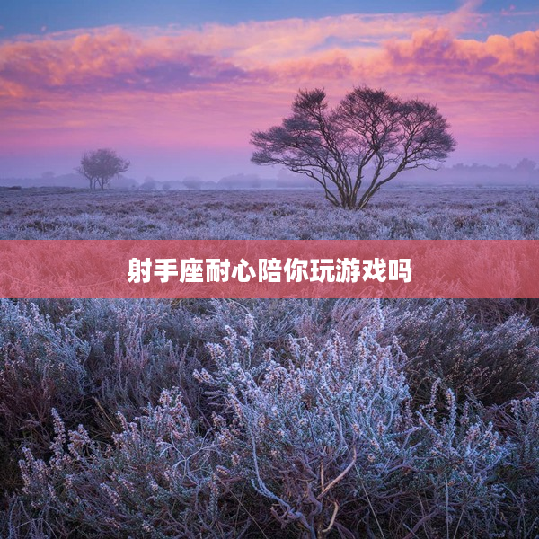 射手座耐心陪你玩游戲嗎