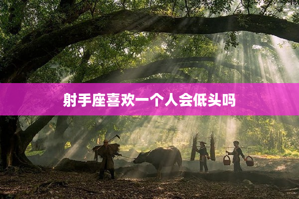 射手座喜歡一個人會低頭嗎