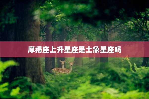 摩羯座上升星座是土象星座嗎