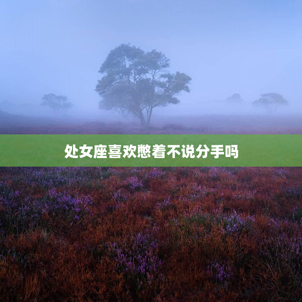 處女座喜歡憋著不說分手嗎