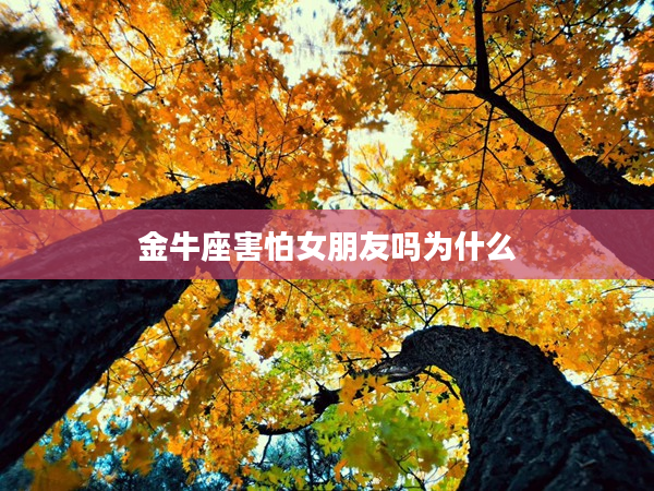 金牛座害怕女朋友嗎為什么