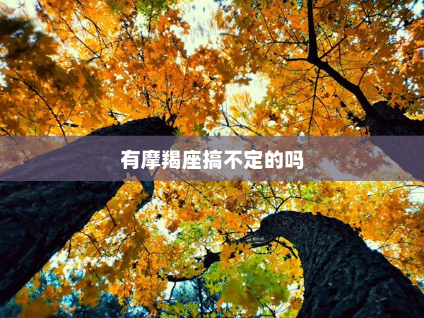 有摩羯座搞不定的嗎