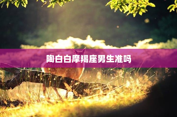 陶白白摩羯座男生準嗎