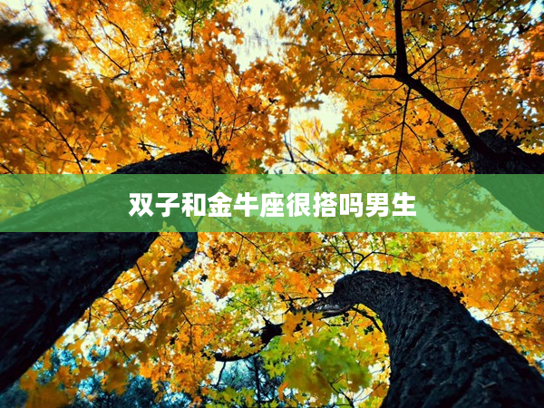 雙子和金牛座很搭嗎男生