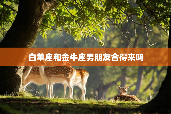 白羊座和金牛座男朋友合得來嗎