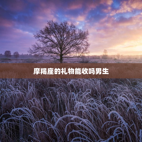 摩羯座的禮物能收嗎男生