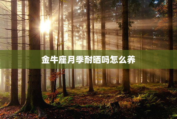 金牛座月季耐曬嗎怎么養