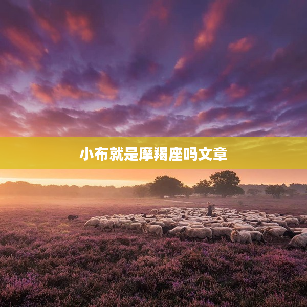 小布就是摩羯座嗎文章