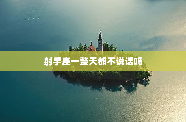 射手座一整天都不說話嗎