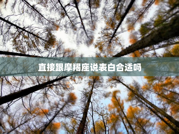 直接跟摩羯座說表白合適嗎