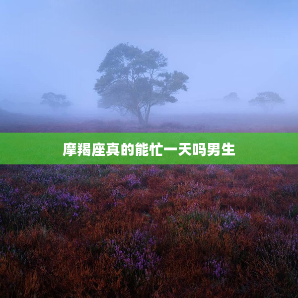 摩羯座真的能忙一天嗎男生