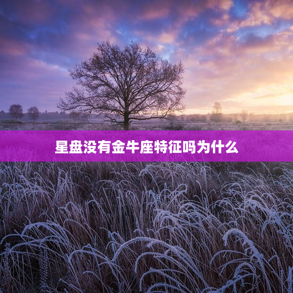 星盤沒有金牛座特征嗎為什么