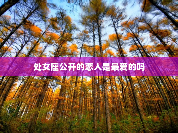 處女座公開的戀人是最愛的嗎