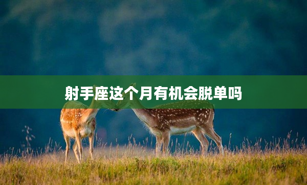 射手座這個(gè)月有機(jī)會(huì)脫單嗎