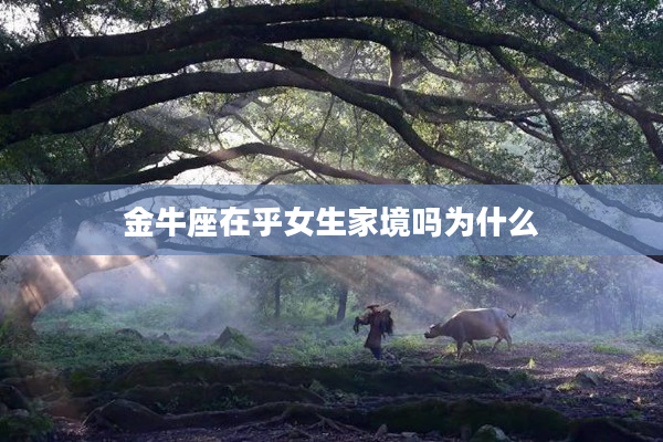 金牛座在乎女生家境嗎為什么