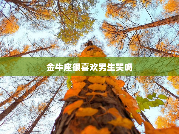 金牛座很喜歡男生哭嗎