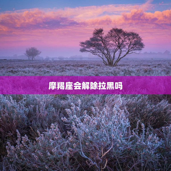 摩羯座會解除拉黑嗎