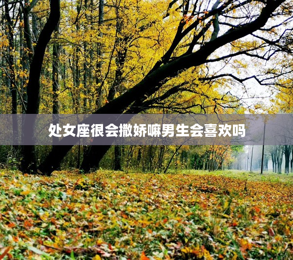 處女座很會撒嬌嘛男生會喜歡嗎