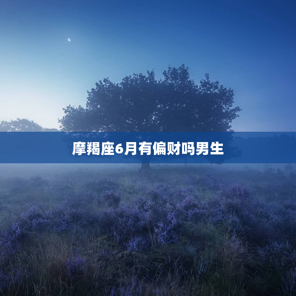 摩羯座6月有偏財(cái)嗎男生