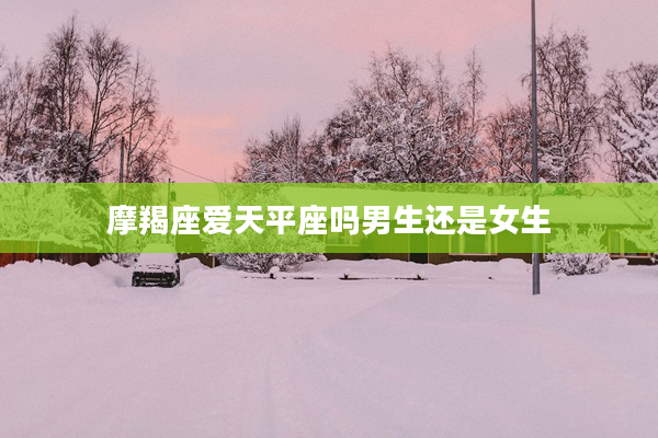 摩羯座愛天平座嗎男生還是女生