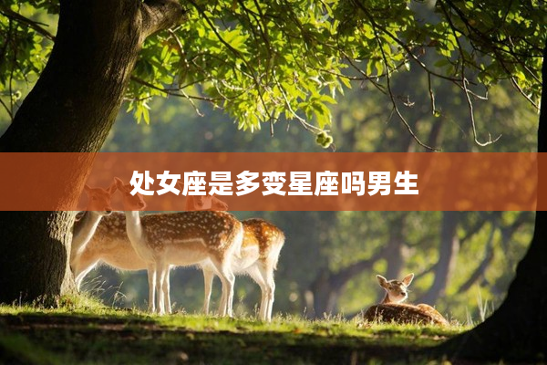 處女座是多變星座嗎男生