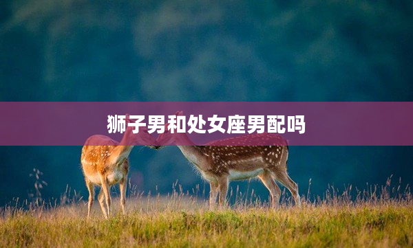 獅子男和處女座男配嗎