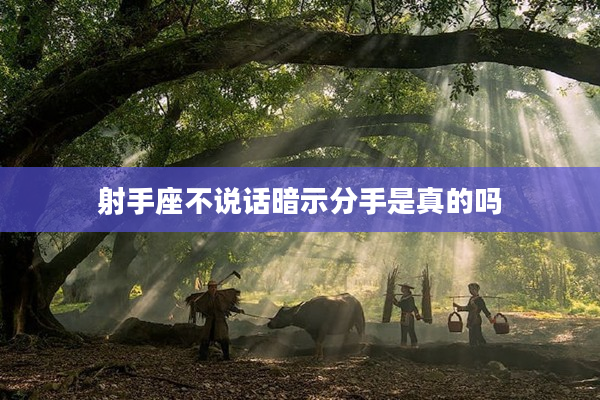 射手座不說話暗示分手是真的嗎