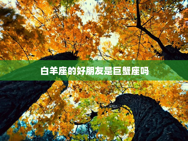 白羊座的好朋友是巨蟹座嗎