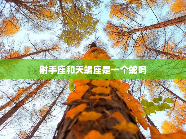 射手座和天蝎座是一個蛇嗎