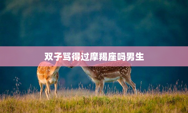 雙子罵得過摩羯座嗎男生