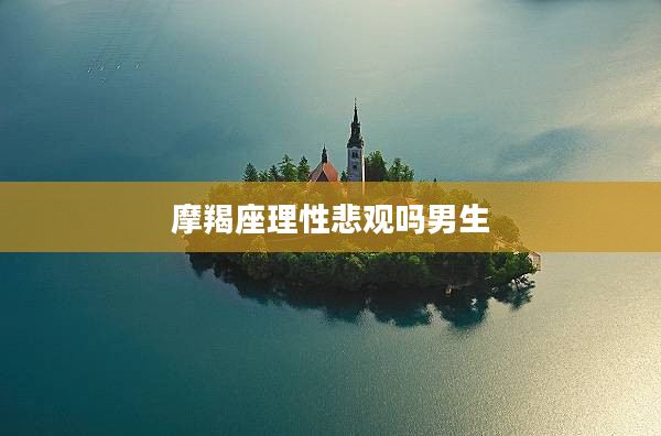 摩羯座理性悲觀嗎男生