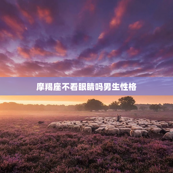 摩羯座不看眼睛嗎男生性格