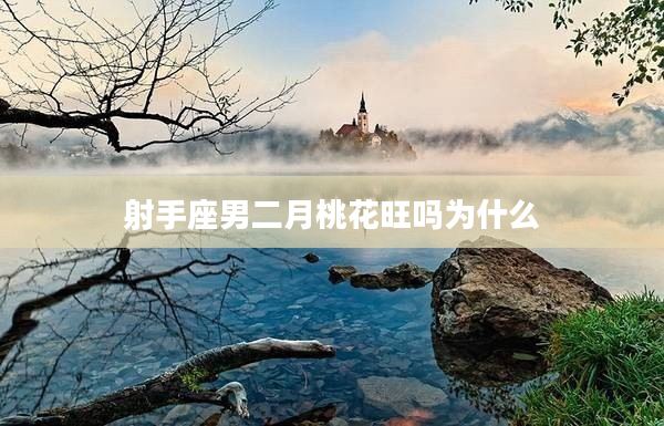 射手座男二月桃花旺嗎為什么