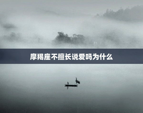 摩羯座不擅長說愛嗎為什么