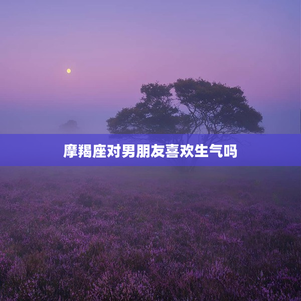 摩羯座對男朋友喜歡生氣嗎