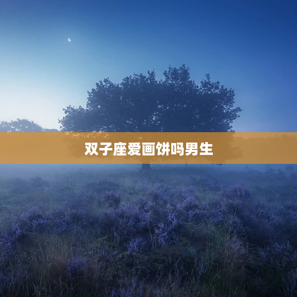 雙子座愛畫餅嗎男生