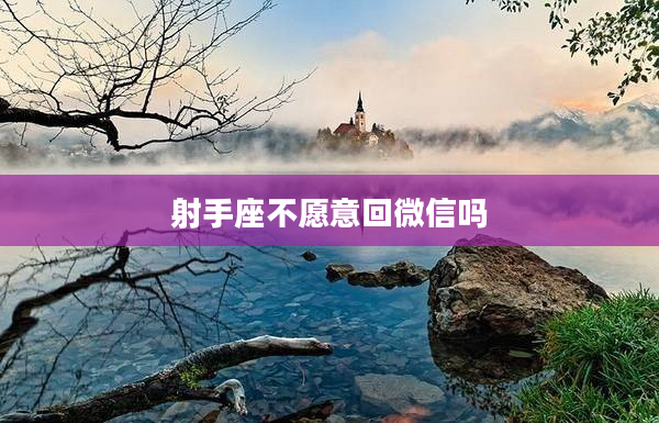 射手座不愿意回微信嗎
