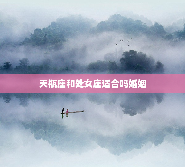 天瓶座和處女座適合嗎婚姻