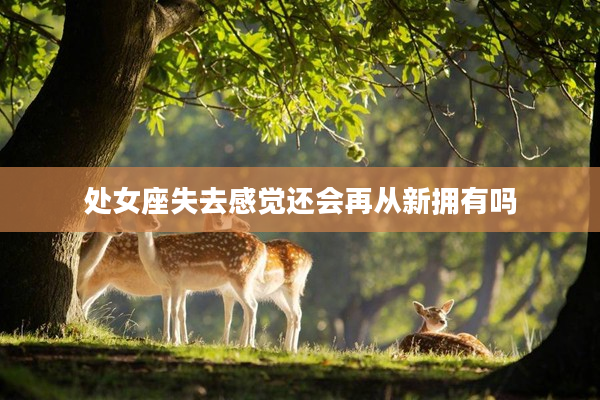 處女座失去感覺還會再從新擁有嗎