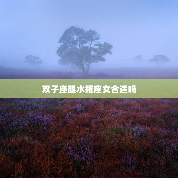 雙子座跟水瓶座女合適嗎